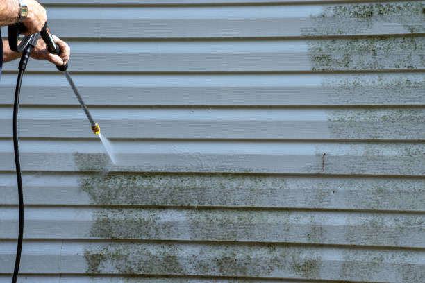 Best Carpet Removal and Disposal  in Farmersburg, IN